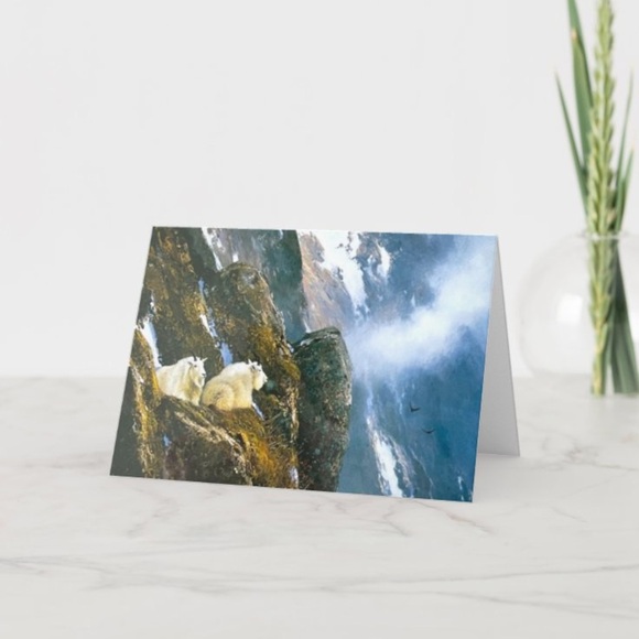 4ct Assortment of Colorado Cards and Envelopes - Picture 3 of 16